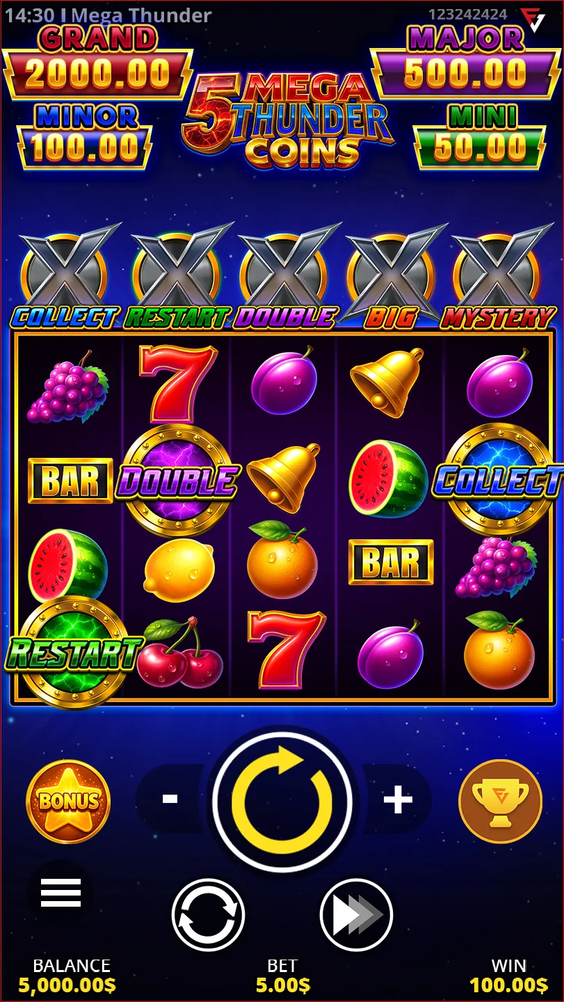 Mobile & Platforms — 5 Mega Thunder Coins gameplay screenshot